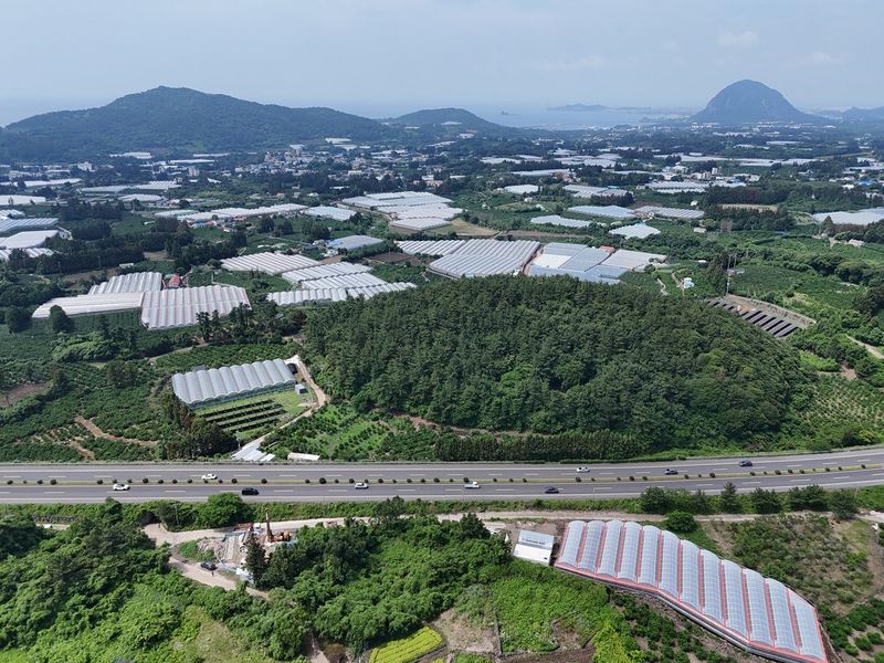 서귀포시 상예동 더데오름 일대 전경. 지표에 드러난 더데오름의 비고는 48m에 불과하지만, 인근 고심도 시추공에서는 지하 109~330m 구간에 조면암이 연속적으로 분포해 산방산에 버금가는 규모의 고기 용암돔이 묻혀 있을 가능성이 제기됐다. /사진=제주특별자치도 세계유산본부 제공