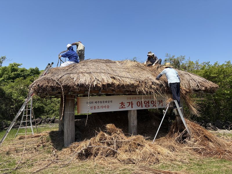 제주돌문화공원 돌한마을에서 상반기 전통문화 전승교육 참가자들이 초가 지붕에 새 이엉을 얹고 있다. 돌문화공원관리소는 상반기 초가 이엉잇기와 전통 석공예에 이어 하반기 전통염색과 신서란 공예 교육을 운영한다. /사진=제주특별자치도 돌문화공원관리소 제공