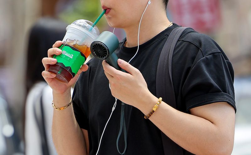 뉴시스
