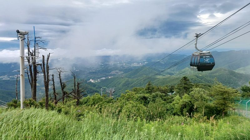 머무는 것만으로 쉼이 된다… 발왕산 정상에서 맞는 한여름 힐링 [Weekend 레저]