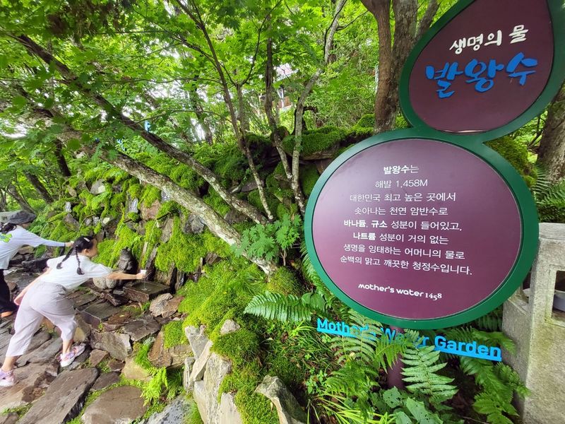 발왕산 정상에서 맛볼 수 있는 '발왕수'