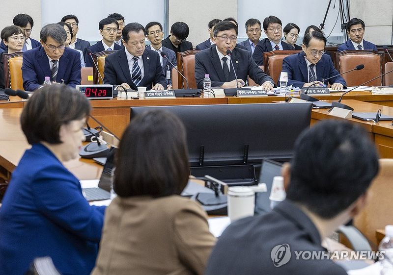 의원 심문에 답하는 강동완 중앙선관위 사무총장 대리 (출처=연합뉴스)