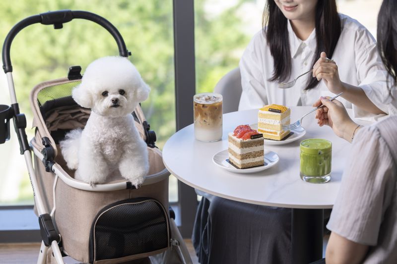 카시아 속초 '포펙트 겟어웨이'