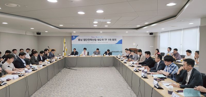 24일 충남도청 중회의실에서 홍종완 행정부지사 주재로 열린 '충남 첨단전략산업 대도약 전담조직(TF)' 1차 회의 모습. 충남도 제공