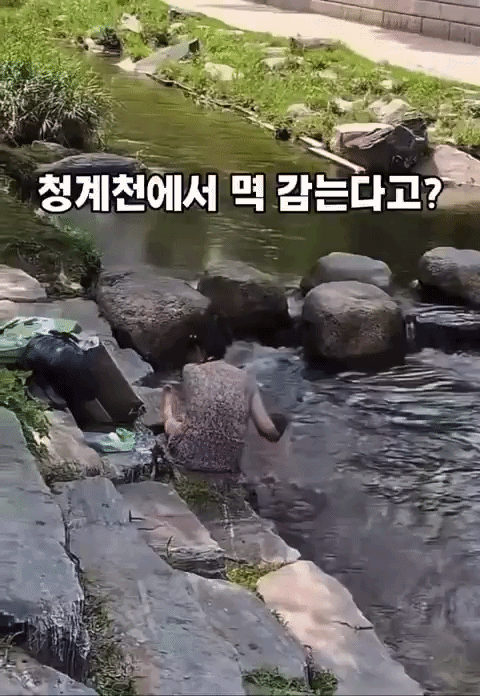 영상=온라인 커뮤니티