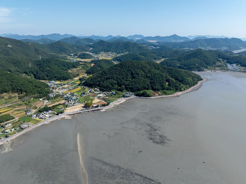 전남 여수 갯벌