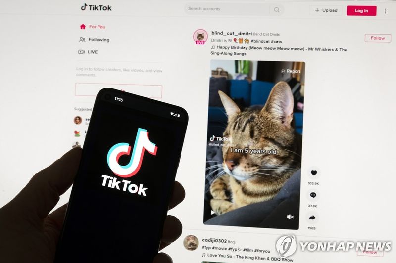 휴대전화 화면 속 틱톡 로고 (출처=연합뉴스)