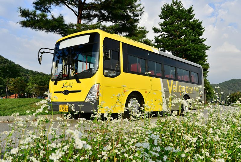 2월부터 전남 장성군의 농촌버스 . 사진은 기사 내용과는 관계 없음. ⓒ 뉴스1 박영래 기자