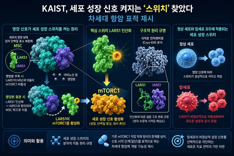[대전=뉴시스] KAIST 화학과 박희성 교수와 강진영 교수가 연세대와 공동연구를 통해 세포 안의 특정 단백질(LARS1)이 영양상태를 감지해 성장스위치(mTORC1)를 작동시키는 원리를 밝혀 차세대 항암 치료법 개발에 속도가 붙게 됐다. 사진은 연구 개요도.(사진=KAIST 제공) *재판매 및 DB 금지