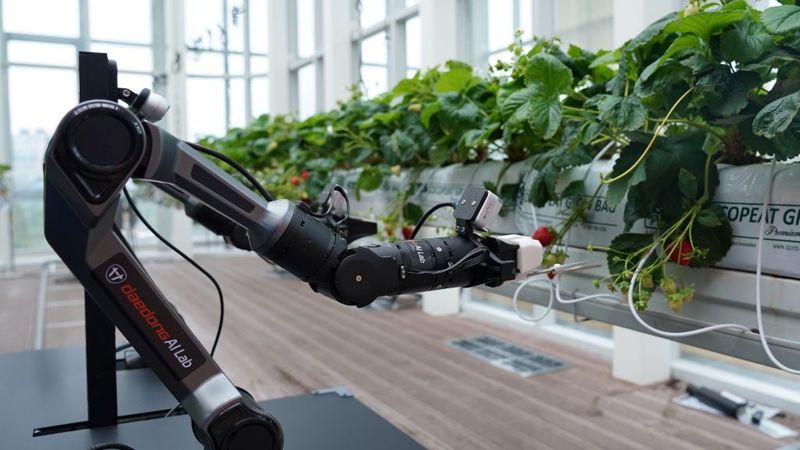 2025년 대동 서울사무소에서 열린 미디어 간담회에서 원격 조종되는 AI 로봇팔이 스마트팜에서 딸기를 수확하며 데이터를 수집하는 시연을 하고 있는 모습. (대동 제공)