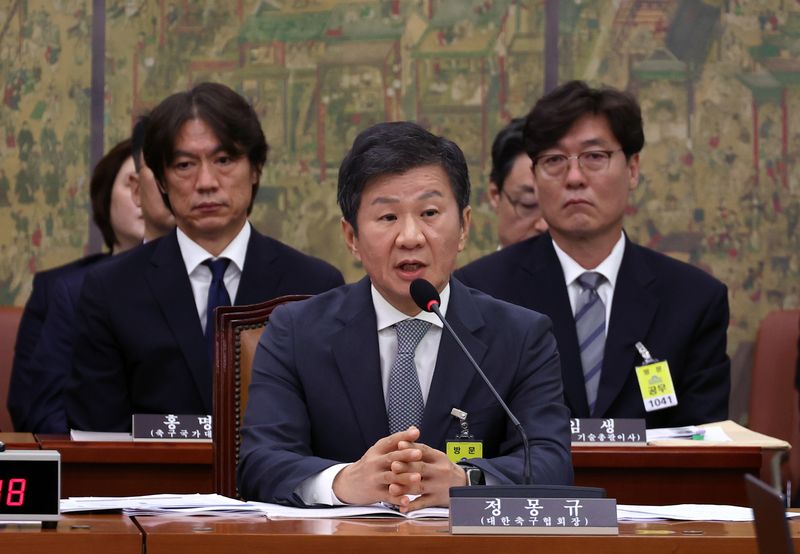 [서울=뉴시스] 고승민 기자 = 정몽규 대한축구협회장이 24일 서울 여의도 국회에서 열린 문화체육관광위원회의 대한축구협회 등에 대한 현안질의에서 의원 질의에 답하고 있다. 2024.09.24. kkssmm99@newsis.com