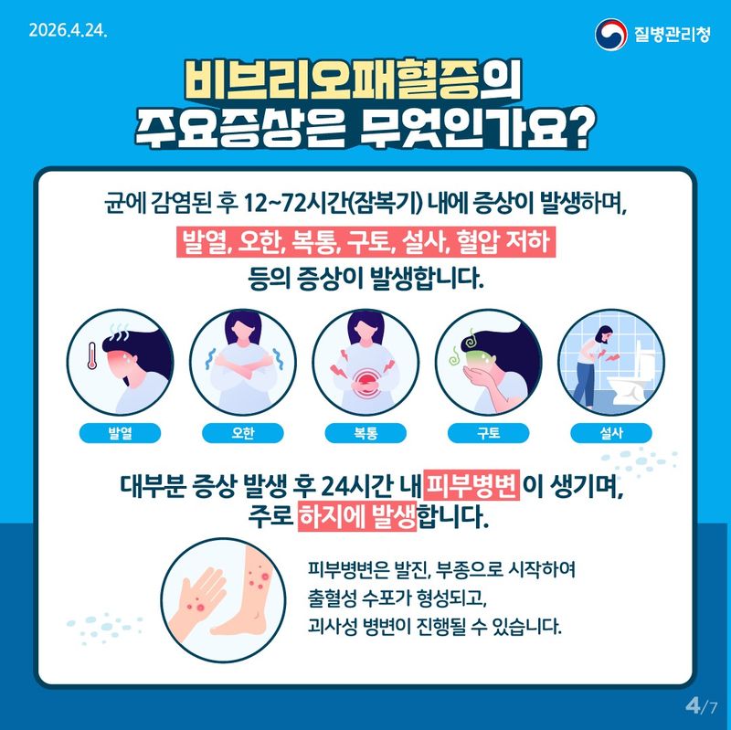 비브리오패혈증 증상 포스터 *재판매 및 DB 금지