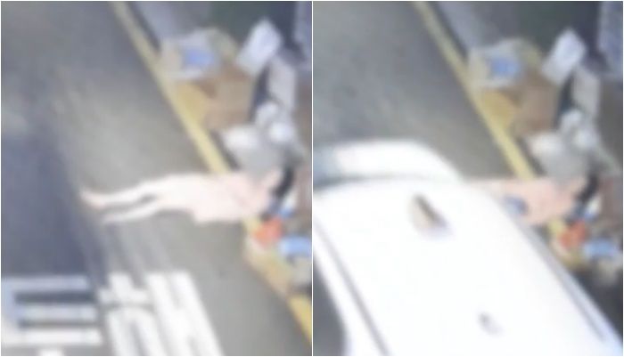 /사진=채널A 뉴스 캡처