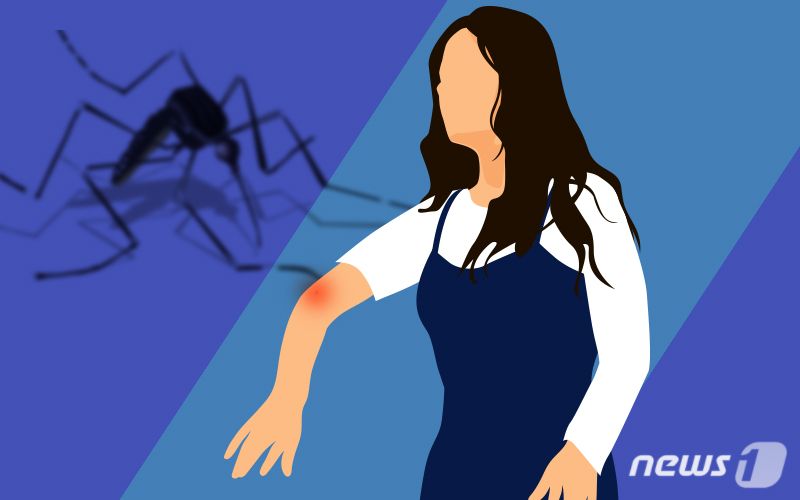 인천 계양구에 말라리아 경보 발령…강화군 이어 두 번째