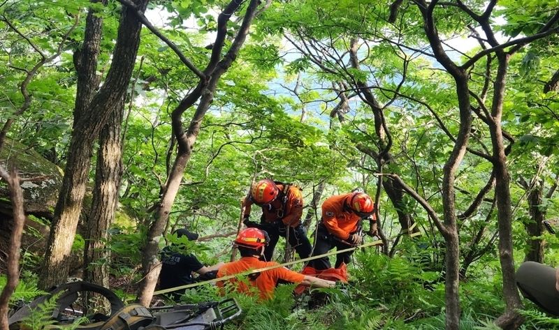 [대구=뉴시스] 지난 29일 오후 3시48분께 대구 동구 도학동 팔공산 동봉 정상에서 사람이 추락한 것 같다는 신고가 접수돼 소방당국이 구조에 나섰다. (사진=대구소방안전본부 제공) 2026.07.30. photo@newsis.com *재판매 및 DB 금지