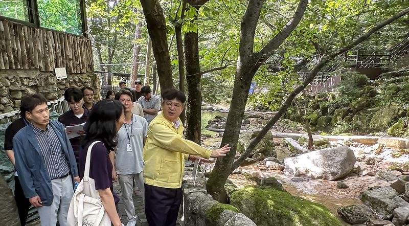 김용균 행정안전부 자연재난실장이 29일 서울 강북구 인수천을 찾아 하천계곡 불법 상행위 단속상황 및 불법시설 정비 실태를 점검하고 있다. 행정안전부 제공