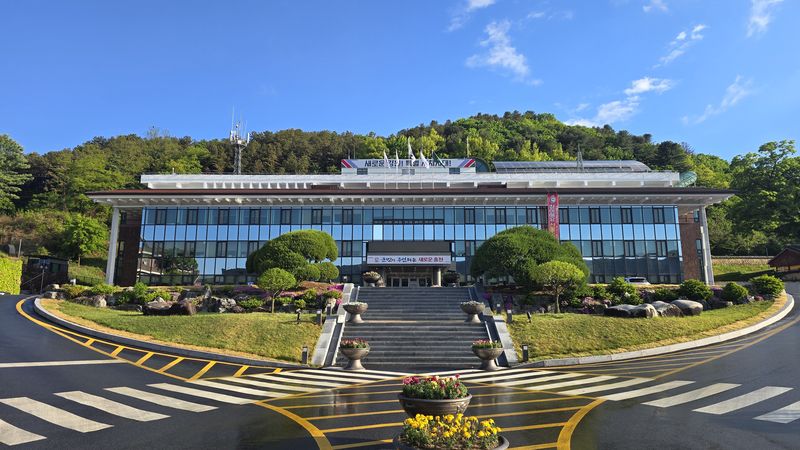 홍천군청./뉴스1