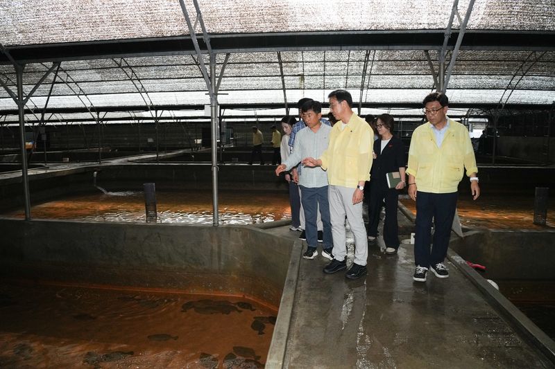 위성곤 제주특별자치도지사가 1일 서귀포시 대정읍 노을영어조합법인 양식장을 찾아 고수온 피해를 본 넙치의 상태와 양식시설을 살펴보며 현장 관계자의 설명을 듣고 있다. 7월 30일 기준 대정읍 양식장 6곳에서 넙치 3만2995마리가 폐사한 것으로 잠정 집계됐다. /사진=제주특별자치도 제공