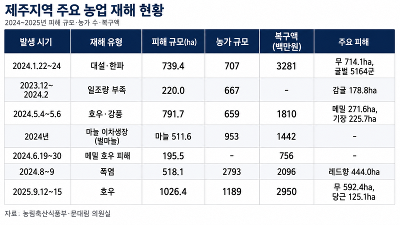 한파 지나니 폭염·가뭄… 제주 농업재해 '사계절화'