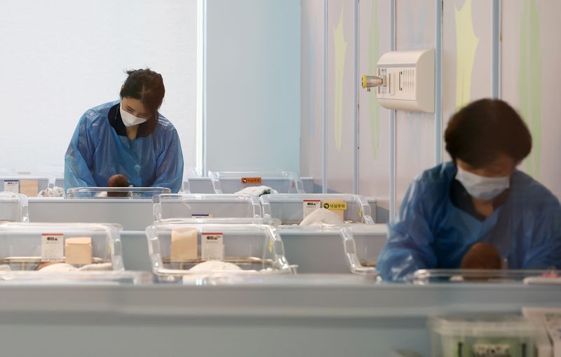 경기 고양시 차의과학대학교 일산차병원 신생아실에서 간호사들이 신생아를 돌보고 있다. 뉴스1
