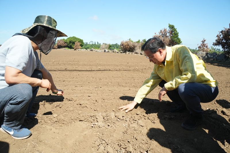 Jeju Field Crops Face Severe Soil Moisture Shortage Due to Heatwave and Drought