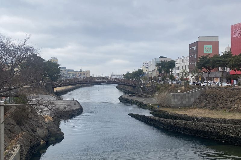 제주시 도심을 통과하는 산지천 전경. 제주도 보건환경연구원의 상반기 조사에서 산지천의 주요 수질지표는 대체로 양호했지만 총인 농도는 Ⅲ등급인 ‘보통’으로 나타나 지속적인 관찰이 필요한 하천으로 분류됐다. /사진=파이낸셜뉴스