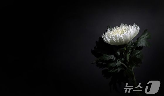 [부고] 김진수 씨(BBS청주불교방송 방송부장) 장인상