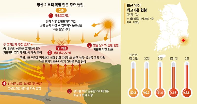 ‘42.5도’ 122년만에 최고기온… 재난급 폭염에 20대도 사망
