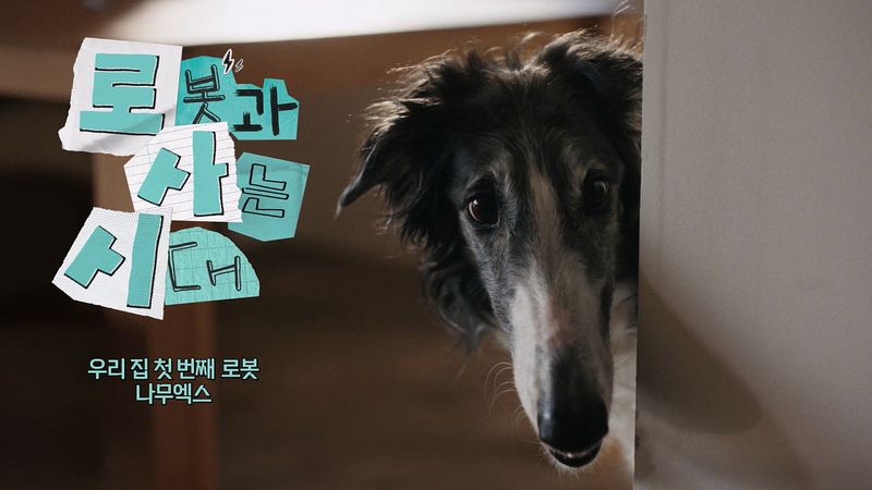 나무엑스 광고 캠페인 스틸컷. SK인텔릭스 제공