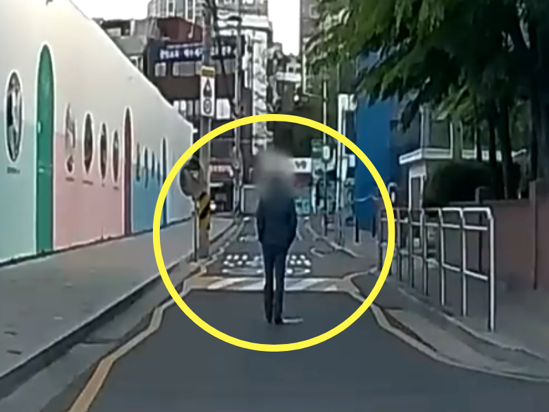 남성이 양옆에 인도가 있는데도 차도 한가운데를 걸어가고 있다. /사진=온라인 커뮤니티