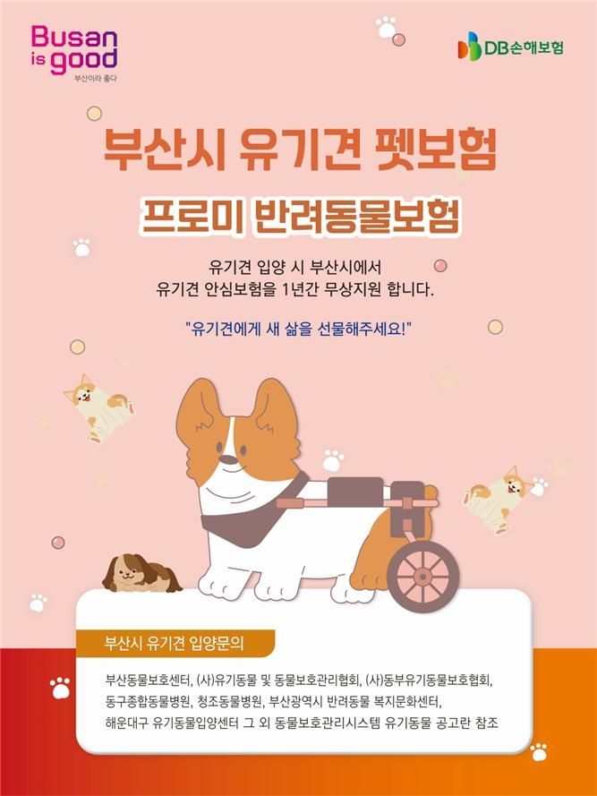 2026년 유기동물 펫보험 지원사업 홍보 포스터. 부산시 제공