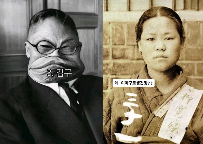 독립운동가를 조롱하는 게시물./사진=틱톡, 서경덕 성신여대 교수팀 제공