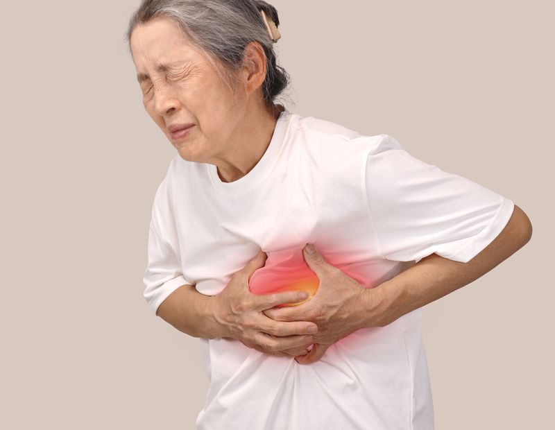 뉴시스