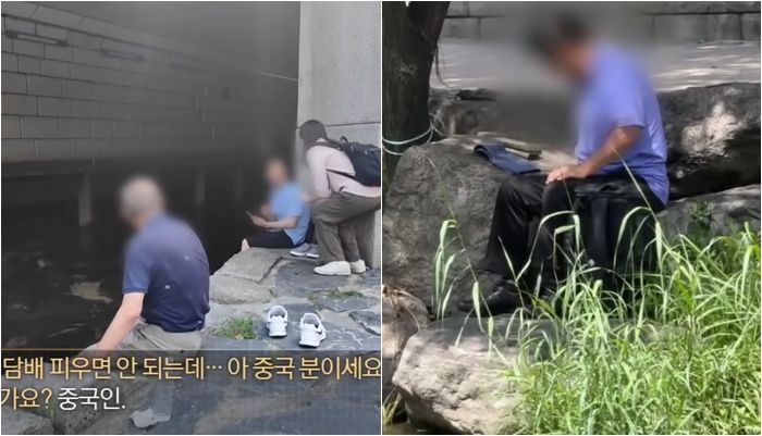 /사진=채널A 뉴스 캡처