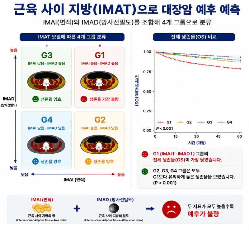 G1~G4 그룹의 전체생존율 생존곡선