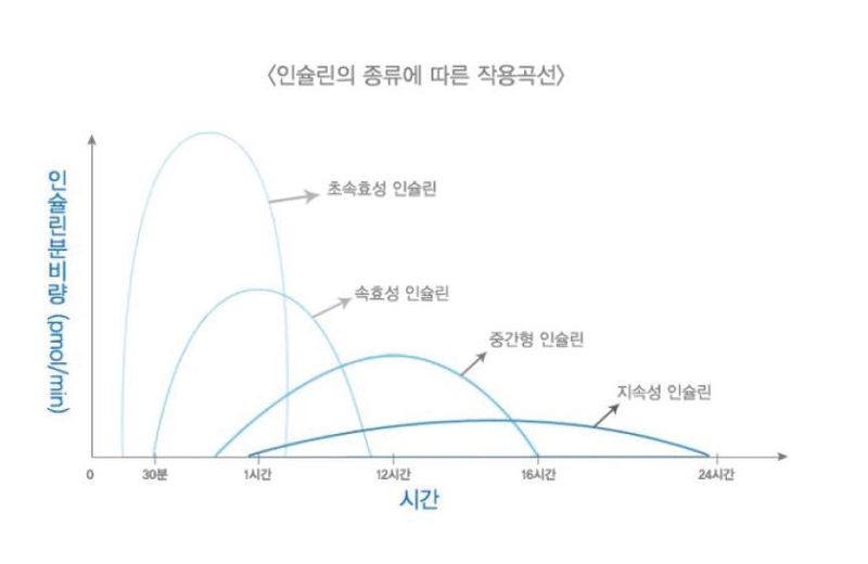인슐린부터 위고비까지, 당뇨약의 모든 것 [안철우 교수의 호르몬 백과사전]