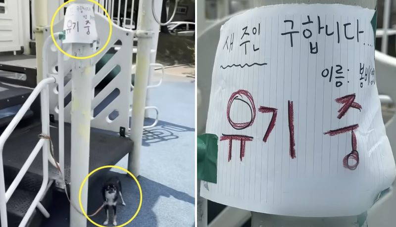 지난 1일 충북 청주 서원구의 한 공원 놀이터 놀이기구에 반려견이 묶여 있는 모습./사진=YTN 캡처