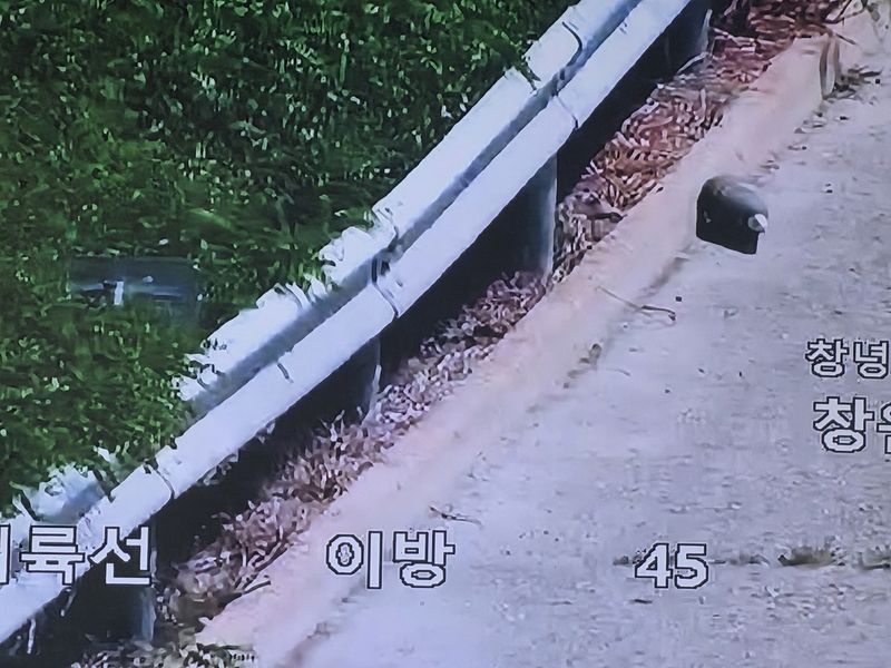(출처=연합뉴스)