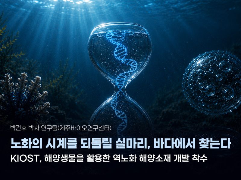 "늙지 않는 바다"…KIOST, 해양생물로 역노화 소재 찾는다