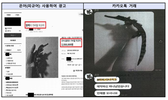 밀수 조직의 범행 수법. 사진=서울동부지검 제공