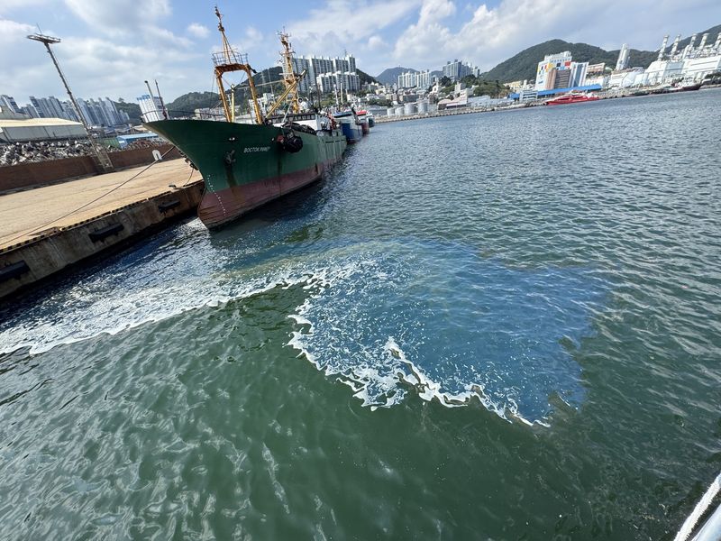 지난 4일 부산 감천항에 기름이 유출된 모습.(부산해경 제공. 재판매 및 DB금지)