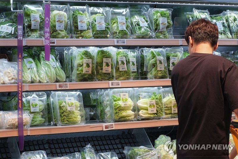 폭염에 밭작물 가격 '요동'…농수산물 전반 '히트플레이션' 먹구름