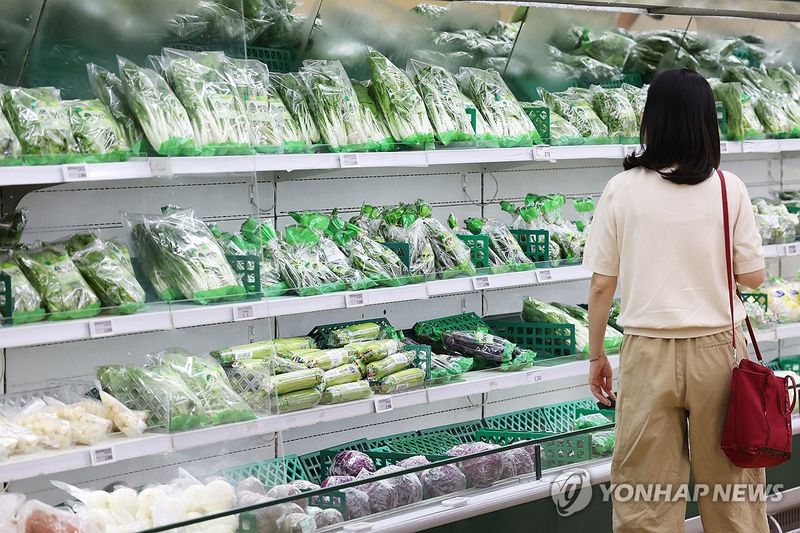 연합뉴스