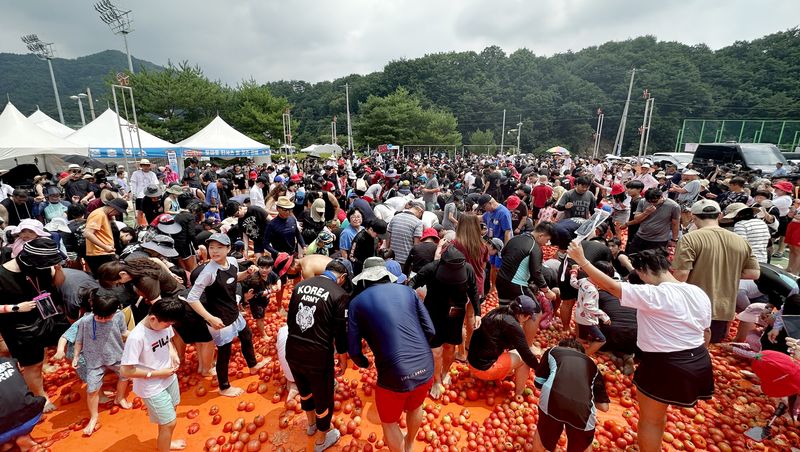 2026 화천토마토축제 이틀째인 지난 1일 화천 사내면 사내체육공원에서 열린 '황금반지를 찾아라' 이벤트에 참여한 관광객들이 금반지를 찾는 모습. (화천군 제공, 재판매 및 DB금지) 2026.8.1 ⓒ 뉴스1 한귀섭 기자