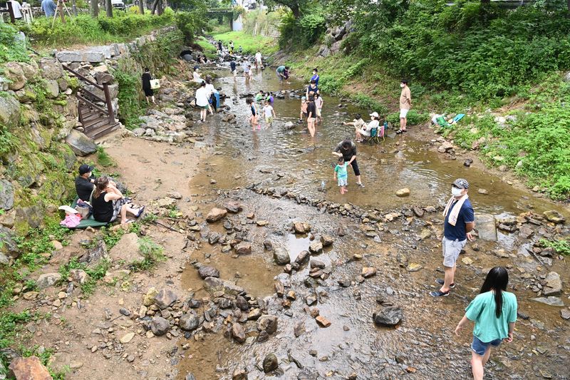 계곡·하천 자료사진.(사진은 기사 내용과 무관함) / 뉴스1