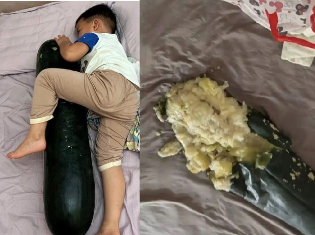 에어컨 대신 '동과' 끌어안고 자다가 침대서 '펑' 폭발한 사연