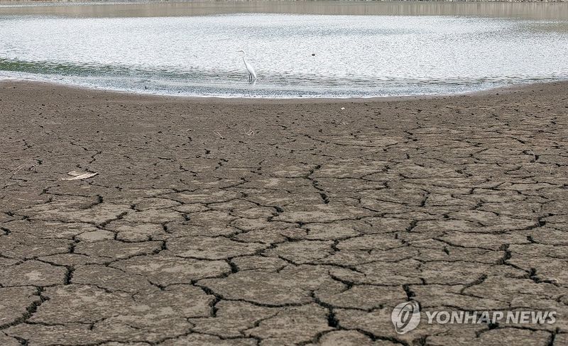 바닥 드러낸 저수지…밀양 무안면 (출처=연합뉴스)