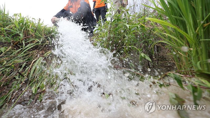 급수 작업 (출처=연합뉴스)