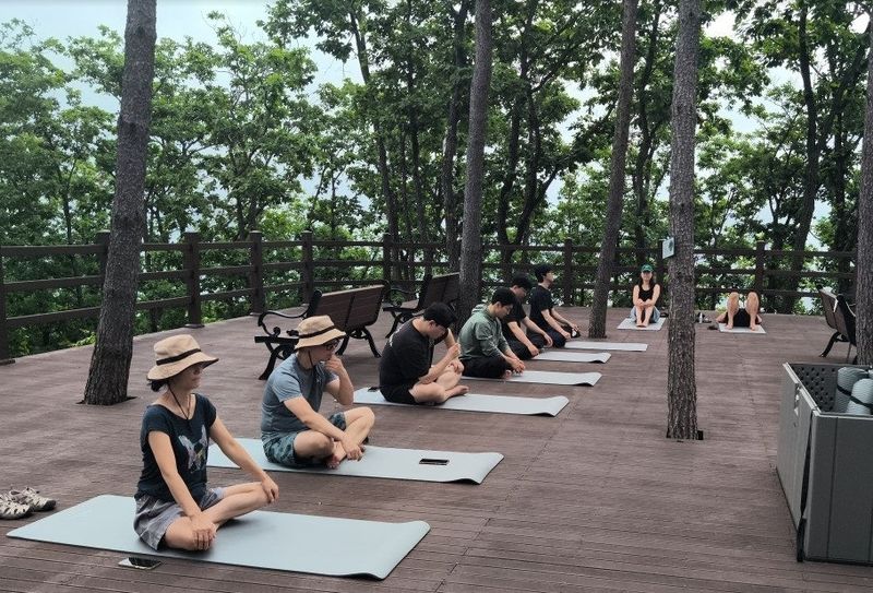 태백 매봉산 천상의 숲을 찾은 참가자들이 야외 데크에서 명상 프로그램에 참여하고 있다. 강원도 제공