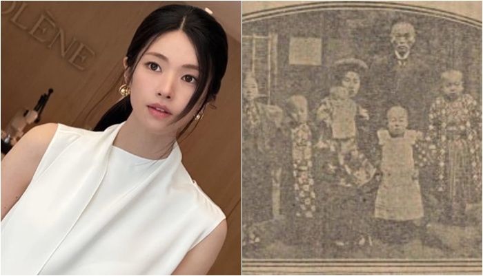 /사진=하영 SNS, 립중앙도서관 자료 갈무리